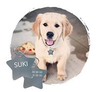 Adzif.biz Le sticker de decoration - Plaque d'Identification Chien Avec Gravure Personnalisé - Plaque Personnalisable ETOILE En Aluminium 27 x 27 mm - Coloris Argent