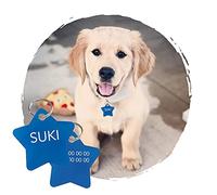 Adzif.biz Le sticker de decoration - Plaque d'Identification Gravée Personnalisée - Plaque Chat Personnalisable ETOILE En Aluminium 27 x 27 mm - Coloris Bleu