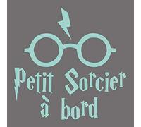 Adzif.biz Le sticker de decoration - Sticker Bébé à Bord Petit Sorcier - 150 x 150 mm (15 x 15 cm) - Menthe mat - Vinyle adhésif