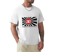 Ae Racing Performance Logo Men's Grey T-Shirt Size S to 3XL Men's T-Shirt Unisex Tee XL