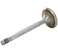 AE V94695 Soupape d'admission