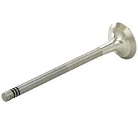 AE V95002 Soupape d'échappement