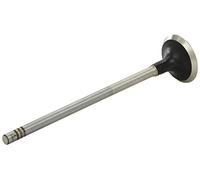 Soupape d'échappement AE V95036