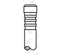Soupape d'échappement AE V95113