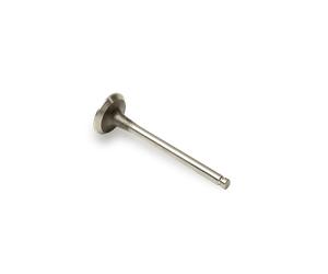 AE V95177 Soupape d'échappement