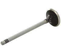 AE V98081 Soupape d'admission