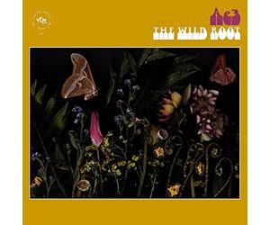 Ae3 (Alan Evans Trio) - The Wild Root