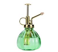 Aebor Flacon pulvérisateur en verre pour plantes - 16,5 cm - Vert + doré - Petit arrosoir pour intérieur et extérieur - Vert + doré (vert + doré C)