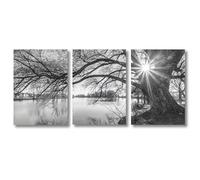AEFOUU Lot de 3 posters représentant un magnifique paysage de coucher de soleil sur un grand lac avec un grand arbre, idéal pour décorer un salon, une chambre ou un bureau 50x70cm sans cadre