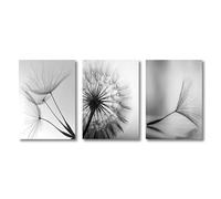 AEFOUU Lot de 3 tableaux en noir et blanc sur toile, représentant des pissenlits, à décorer pour la cuisine (70x100 cm, cadre intérieur)