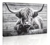 AEFOUU Tableau représentant une adorable vache des Highlands, en noir et blanc, dans un pâturage Impression sur toile avec fond en bois vintage (50x70 cm, sans cadre)