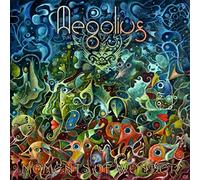 Aegolius - Moments of Wonder