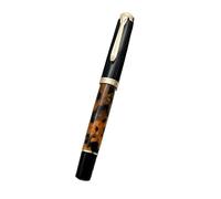 AEHON Stylo plume à piston transparent EF/F/M 0,38/0,5/0,7 mm Pointe d'encre d'écriture Fournitures de bureau et scolaires (H,Schmidt M (0,7 mm)
