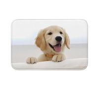 AEKGOHP Golden Retriever Tapis de sol antidérapant et épais lavable pour salle de bains, chambre à coucher, 40,6 x 61 cm