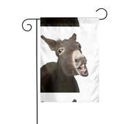AEKGOHP Mât de drapeau de jardin imprimé âne amusant double face 30,5 x 45,7 cm