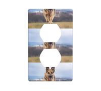 AEKGOHP Panneau mural décoratif à double prise - Durable et adapté pour interrupteur - 11,4 x 7 cm