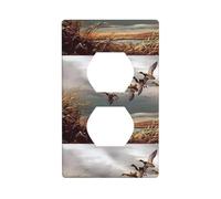 AEKGOHP Panneau mural décoratif à double prise - Durable et adapté pour interrupteur - 11,4 x 7 cm