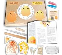 AELITA | Blob Kit Vivant de Culture | 3 Blobs (Jaune et Orange) + colorants d’expérimentation + Guide Complet | Élevage Français Premium | Achat Blob Cadeau