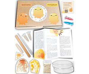 AELITA | Blob Kit Vivant de Culture | 3 Blobs (Jaune et Orange) + colorants d’expérimentation + Guide Complet | Élevage Français Premium | Achat Blob Cadeau