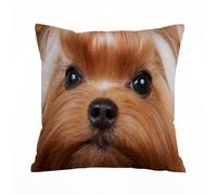 AELKSP Housse Coussin,Toilettage Chien Brun Yorkshire Terrier Longs Cils précieux Spectacle Animalier,50x50 cm,Lot de Coussin Taie d'oreiller Décoratif Canapé pour Chambre, Canapé, Chaise, Lit,Jardin