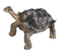 AENIMELY Figurine de Tortue des Galapagos (Coquille Noire) - modèle de Tortue Solide réaliste - Jouet éducatif pour Reptiles de la Faune, Cadeau d'apprentissage de la Nature, décor de Diorama Animal