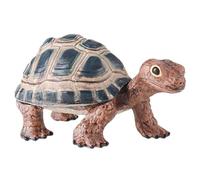 AENIMELY Figurine de Tortue terrestre - Jouet de Tortue terrestre Solide et réaliste - Figurines d'animaux Reptiles éducatives, Cadeau d'apprentissage de la Nature, décor de Diorama de la Faune