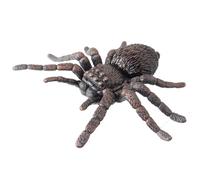 AENIMELY Grande Figurine d'araignée - Jouet modèle d'insecte réaliste Creux pour Les Enfants - Jouet éducatif STEM pour Halloween, étude de la Nature et Cours de Sciences