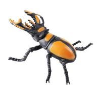 AENIMELY Grande Figurine de cerf - Jouet modèle d'insecte réaliste Creux - Jouet éducatif Contre Les Insectes pour l'apprentissage des STIM, l'expo-Sciences et la Collection d'insectes