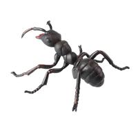 AENIMELY Grande Figurine de Fourmi Noire - Jouet modèle d'insecte réaliste Creux pour Les Enfants - Jouet d'insecte éducatif STEM pour l'exploration de la Nature et Les projets scientifiques