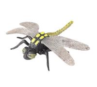 AENIMELY Grande Figurine de Libellule - Jouet modèle d'insecte réaliste Creux - Jouet éducatif Contre Les Insectes pour l'exploration de la Nature, Les projets scientifiques et l'affichage en Classe