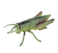 AENIMELY Grande Figurine de Sauterelle - Jouet modèle d'insecte réaliste Creux pour Les Enfants - Jouet d'insecte éducatif STEM pour l'étude de la Nature et l'affichage en Classe