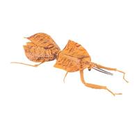 AENIMELY Jouet mante Feuille Morte réaliste - Grand modèle de Figurine d'insecte Solide pour Enfants, Jouet d'apprentissage arthropode éducatif, décor d'affichage des Sciences cognitives