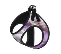 Aerial Fantasy Journey Harnais respirant réfléchissant et réglable pour petits chats et chiens