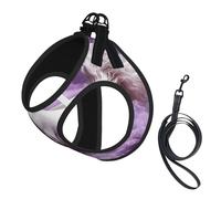 Aerial Fantasy Journey Harnais respirant réfléchissant et réglable pour petits chats et chiens