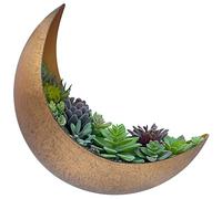 AERLO Pot de Fleurs Mural en métal en Forme de Croissant de Lune à Suspendre pour Plantes Grasses, Plantes aériennes, Cactus - Décoration Murale bohème pour intérieur et extérieur - Cadeau de Plante