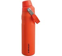 Aerolight Iceflow Fast Flow Gourde Sport Isotherme 0.6l - Froid Pendant 10 Heures - Couvercle Étanche Et À Écoulement Rapide - Lavable Au Lave-Vaisselle - Sans Bpa - Tigerlily Plum