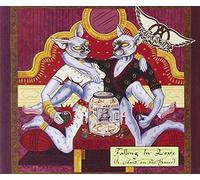 Aerosmith - Falling in Love (is Hard on Th [Import]