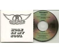 AEROSMITH - HOLE IN MY SOUL ( 2 TRACK PROMO CARD PICTURE SLEEVE XPCD881 ) - CD (not vinyl)