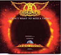Aerosmith - I Don't Want to Miss a Thing [Import]
