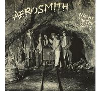 Aerosmith - Night in The Ruts [Import]