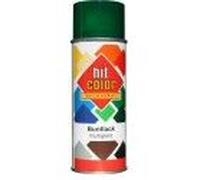 Aérosol peinture décoration RAL 6005 Vert mousse brillant HITCOLOR BELTON