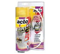 Aérosol spécial guêpes et frelons kit toitures et combles - ACTO - GUEP008