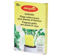 Aeroxon Piège Collant Jaune pour Plantes d’Intérieur Autre 10 pc(s)