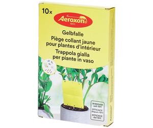 Aeroxon Piège Collant Jaune pour Plantes d’Intérieur Autre 10 pc(s)
