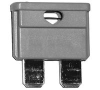 AERZETIX: 10 fusibles - 2A - Midi - 19mm - 6V 12V 24V 32V - pour Auto Moto Voiture Camion poids lourds - C10343