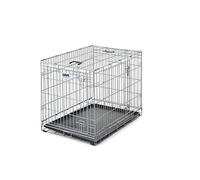 Aesculap Dog Résidence Finition Martelée