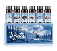 AESHORY Huiles Essentielles d'hiver 6X10ML, Huile Essentielle Aromathérapie pour Diffuseur, Magie Glacée, Chocolat Chaud, Pays des Merveilles Hivernales, Feu de Bois Crépitant, Sapin Givré, Pull Chaud
