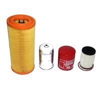 AEspares 0313AC0280N,1001CAA14881N,1457434314-8F8 Lot de 4 filtres compatibles avec Mahindra Roxor