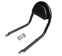 AEspares Dossier passager avec coussinet noir compatible avec Royal Enfield Meteor 350 cc