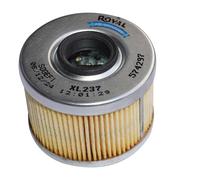 AEspares Filtre à huile compatible avec Royal Enfield Himalayan 450 411 Scram 411 Guerrilla 450 574297